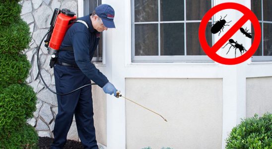 Susurluk Tahtakurusu İlaçlama böcek ilaçlama ve haşere kontrolü — ilaclama-tr.com